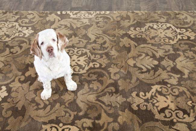 picking-the-perfect-pet-friendly-rug-annie-selke